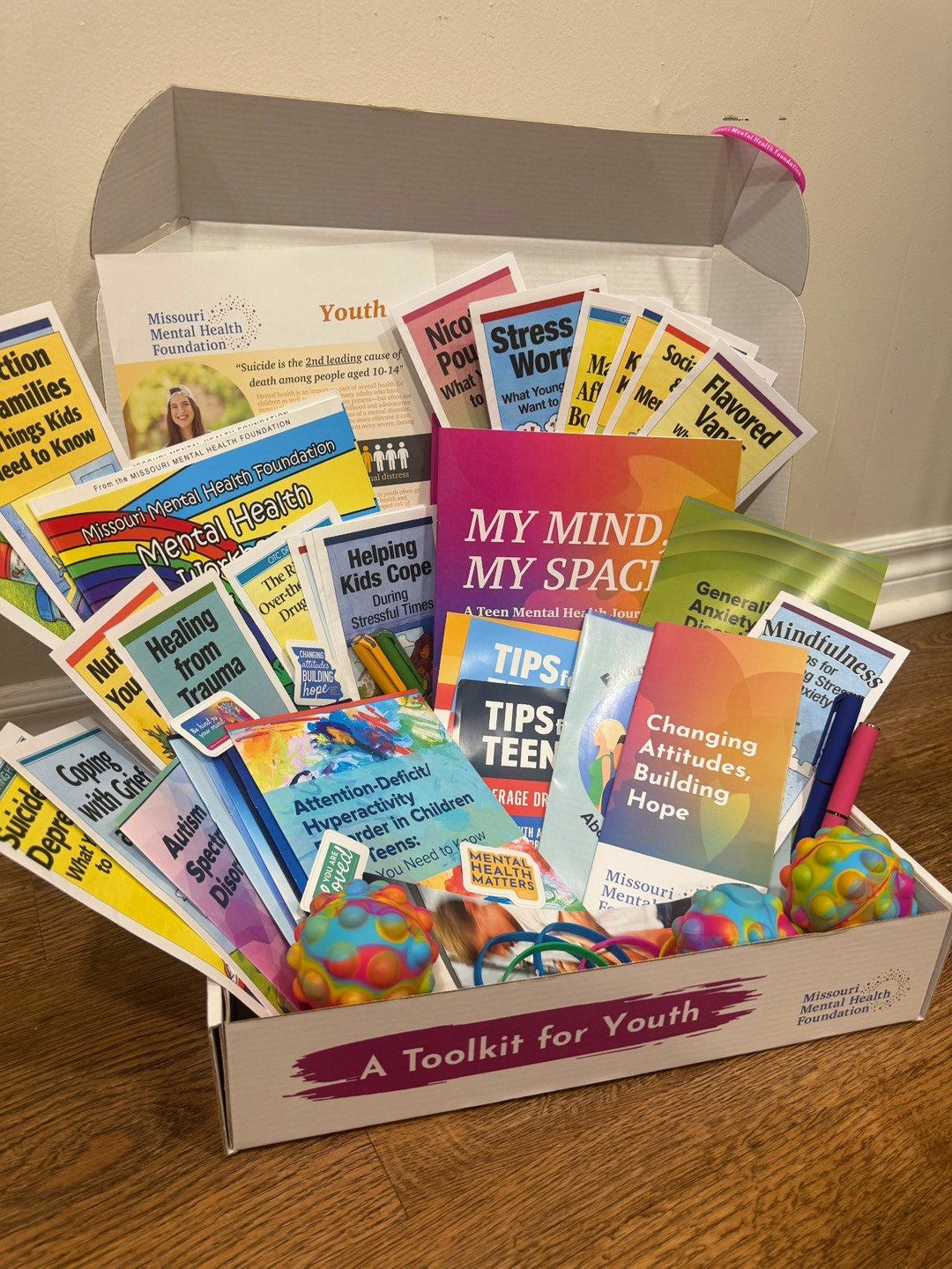 Youth Mental Health Toolkit 